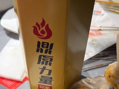 -鼎原力量东北吊炉烧烤(临河街店)