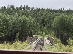 -莫尔道嘎国家森林公园