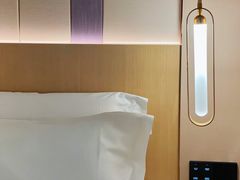 -麗枫酒店(广州中山大学中山眼科中心区庄地铁站店)