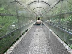 -广东天露山旅游度假区