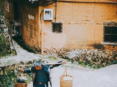 -杨家堂村
