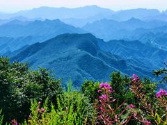 -白草畔自然风景区