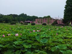 -宜兴龙背山森林公园