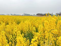 -中国天府农业博览园