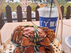 -丫丫蟹庄·苏式园林农家乐·阳澄湖大闸蟹(阳澄湖莲花岛店)