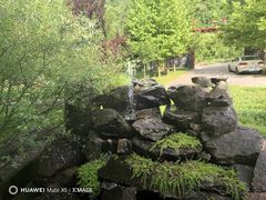 -小陇山国家森林公园桃花沟景区