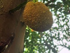 -南宁花花大世界景区