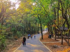-青龙山国家森林公园