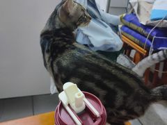-张钰强中医正骨推拿连锁(唐家人才公寓店)