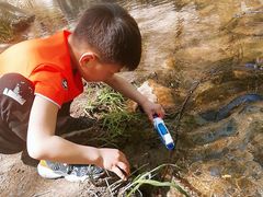 -碓臼峪自然风景区