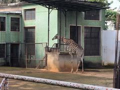 -昆明动物园