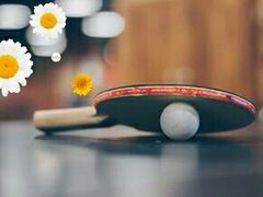 -火星羽毛球游泳乒乓球网球篮球台球滑板轮滑(踏水桥北街店)