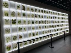 -广东中医药博物馆