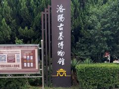 -洛阳古墓博物馆