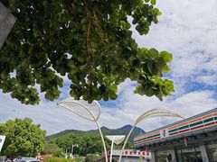 -杨梅坑