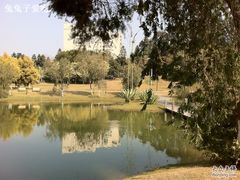 里面的湖-厦门悦华酒店