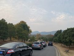 -钟山体育运动公园