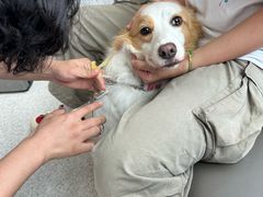 -谐和贝康宠物医院24小时·宠保定点(急重症转诊中心)