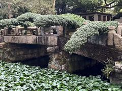 -惠山古镇·寄畅园