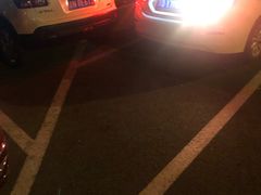放映厅-枫花园汽车电影院(朝阳公园店)