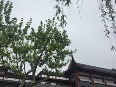 -西泠印社