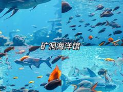 -长鹿旅游休博园