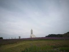 -紫颐香薰山谷景区