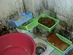 android_upload_pic-老财炒饭·熟地蟹·冬瓜蟹