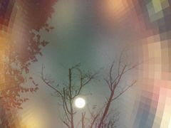 -青岛中山公园-索道售票处