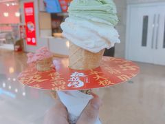 -极拉图·现制冰淇淋(大卫城店)