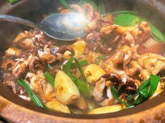 生啫八爪鱼-啫神·广州地标美食(北京路店)