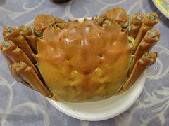 -梨云山居农家乐