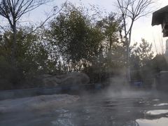 -汤泊温泉度假村
