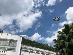 -广州市流溪河国家森林公园