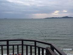 -卷心菜和避孕套餐厅(Pattaya)