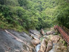 -广州白江湖森林公园