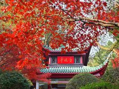 -岳麓山风景名胜区