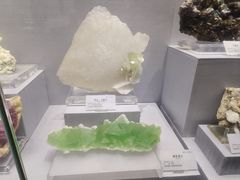 -湖南省地质博物馆