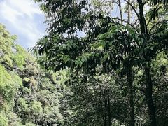 -峨眉山风景名胜区