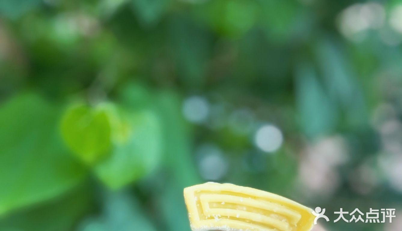 钟薛高✖️五芳斋 清煮箬叶 一口清新🍃