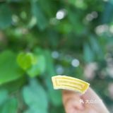 钟薛高✖️五芳斋 清煮箬叶 一口清新🍃