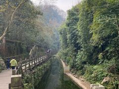 -凤栖山