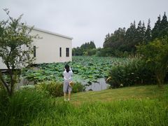 -上海长兴岛郊野公园