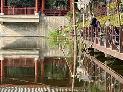 -重庆彩云湖湿地公园