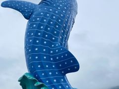 -珠海长隆海洋王国