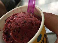 -莓园冰淇淋店