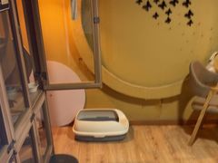 -白兔子密室(长寿路店)