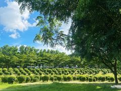 -露天矿生态公园