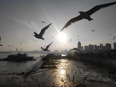 -星海广场