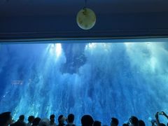 -南昌融创海世界
